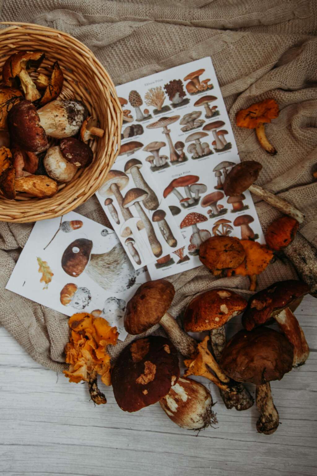 Höstlovstips i Roslagen